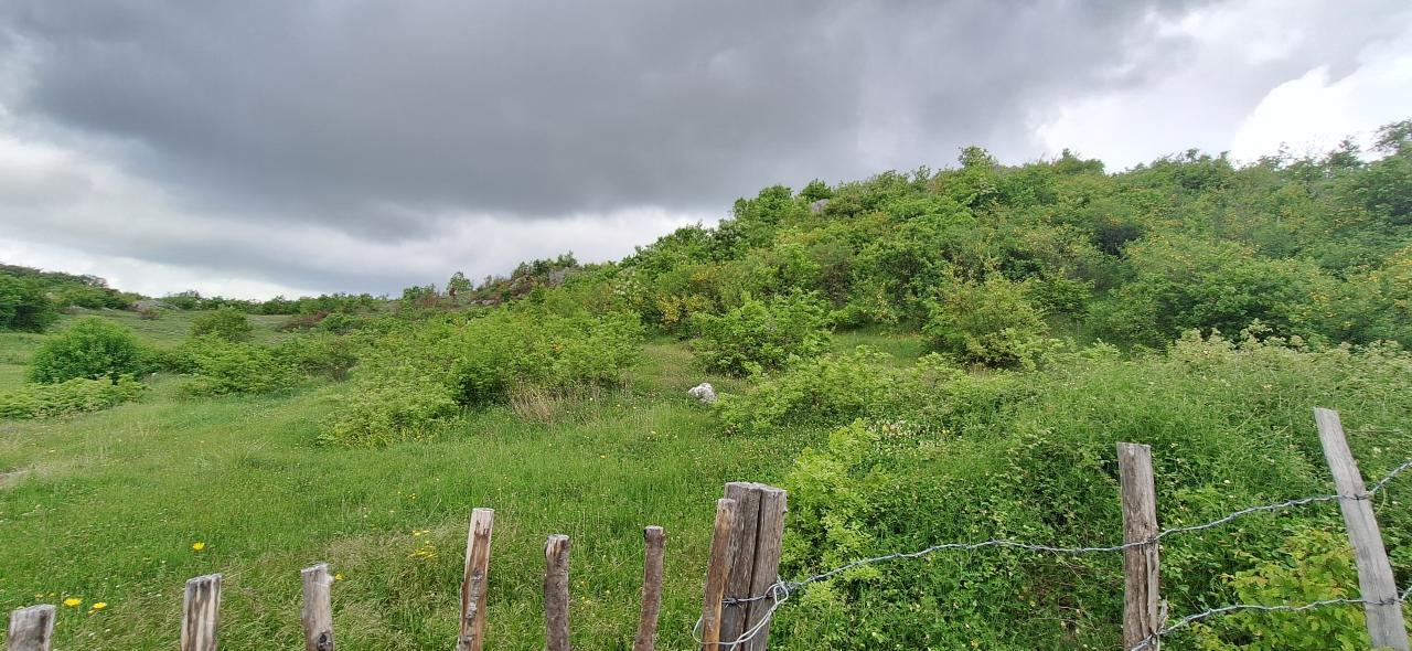 Land for sale near Podgorica