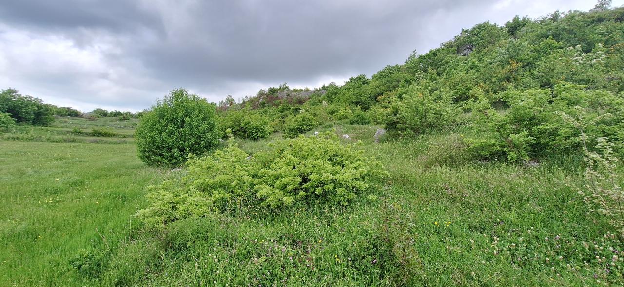 Land for sale near Podgorica
