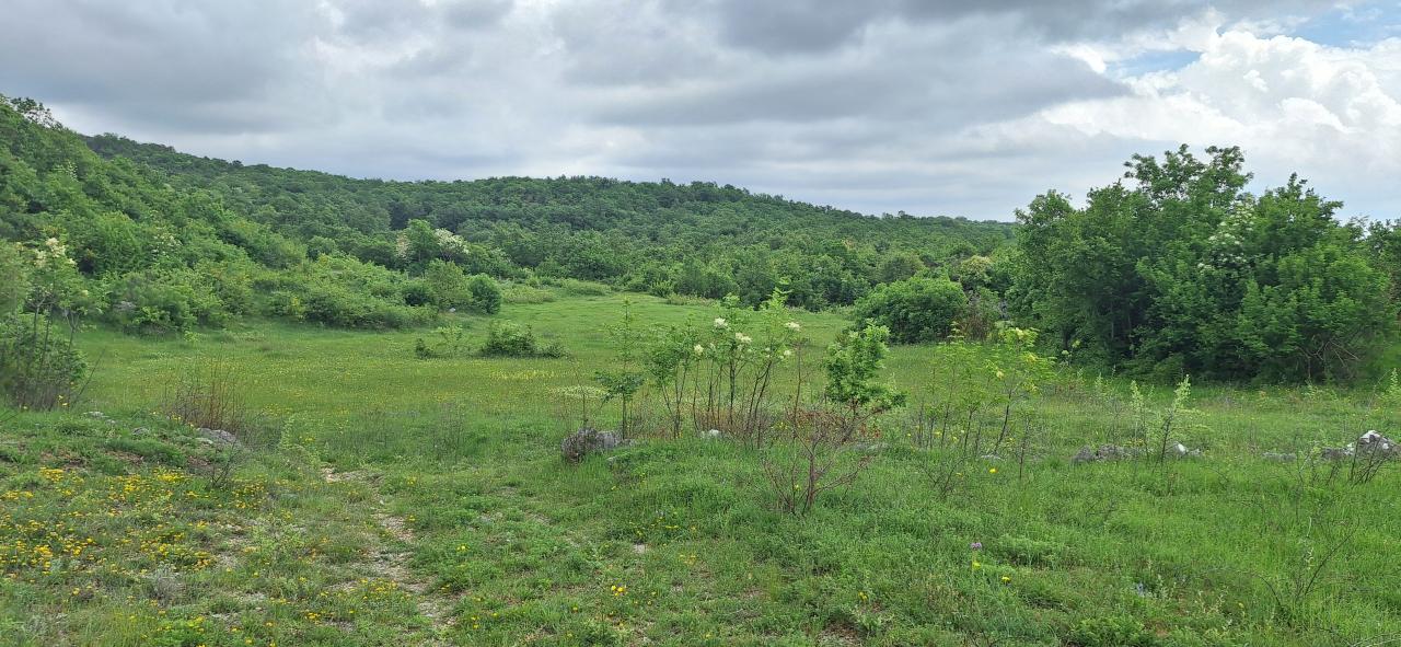 Land for sale near Podgorica