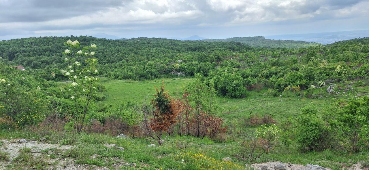 Land for sale near Podgorica