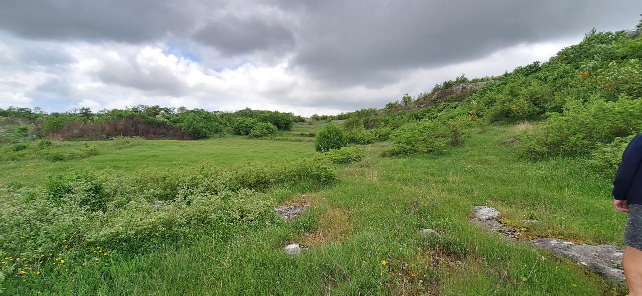 Land for sale near Podgorica