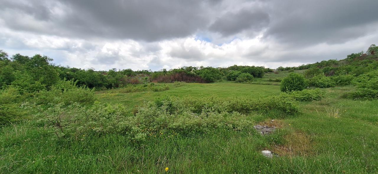 Land for sale near Podgorica