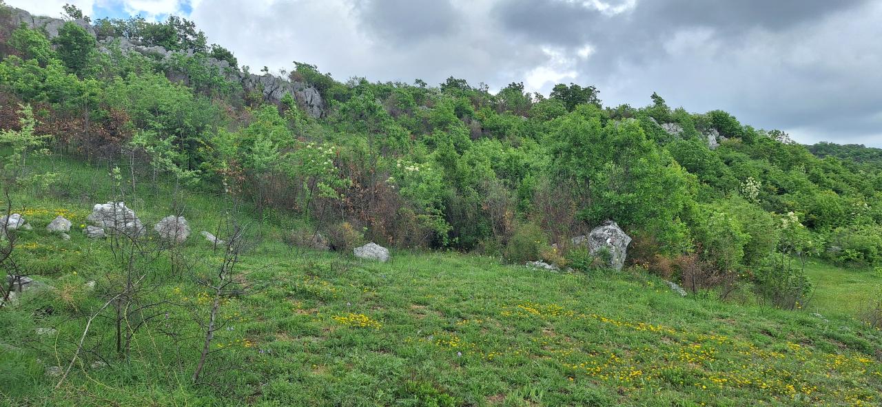 Land for sale near Podgorica