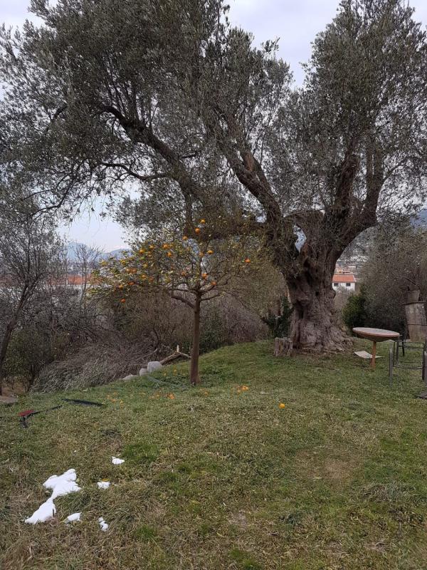 2025 m2 Placevi sa 55 m2 Objekta u Bartuli, Bar