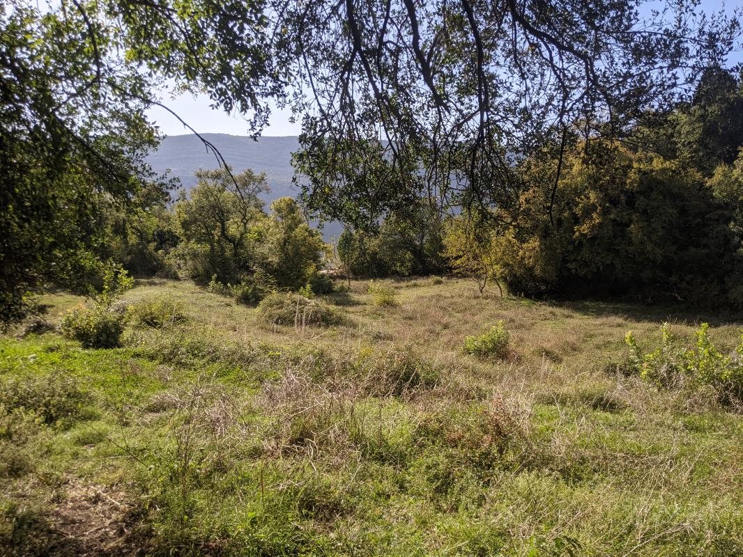 Land Plots in Sushchepan, 3 km from Herceg Novi