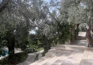 Luxury villa with 5 bedrooms and a swimming pool in Rezevici