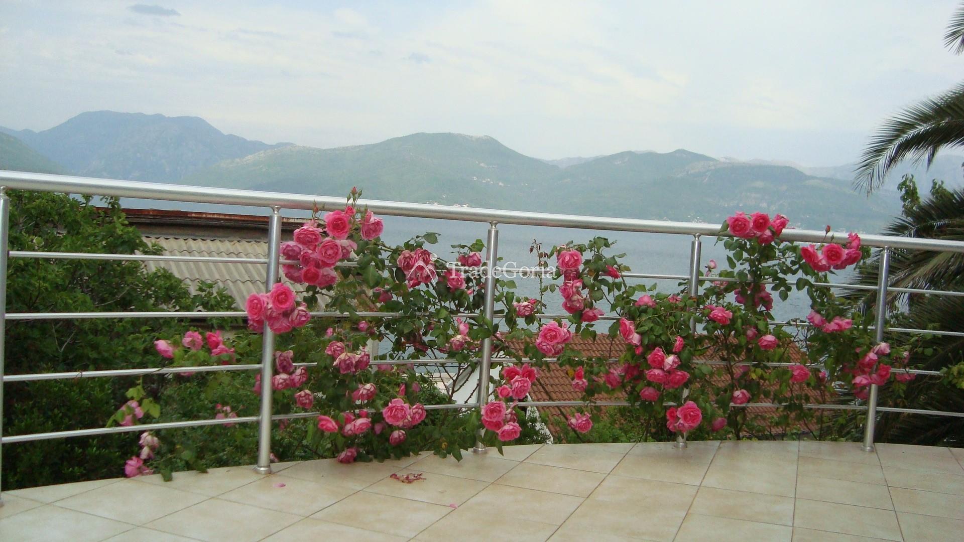 New villa in Krašići 20m from the sea