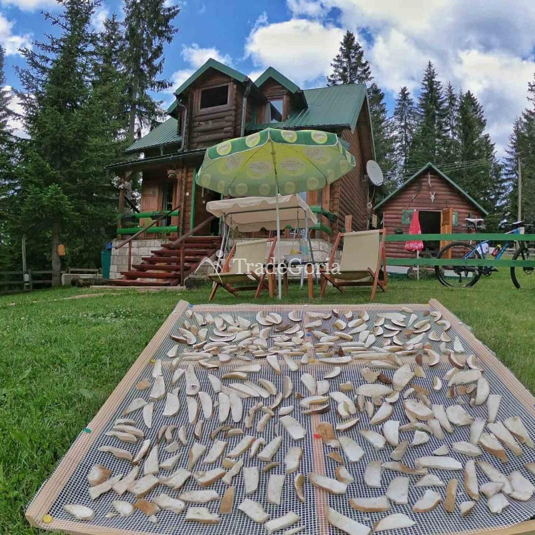 Charmantes Ferienhaus Milena in Zabljak