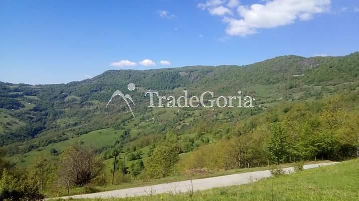 Huge land plot with two houses, farm with tractor in Mojkovac