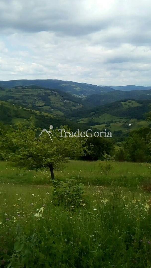 Huge land plot with two houses, farm with tractor in Mojkovac