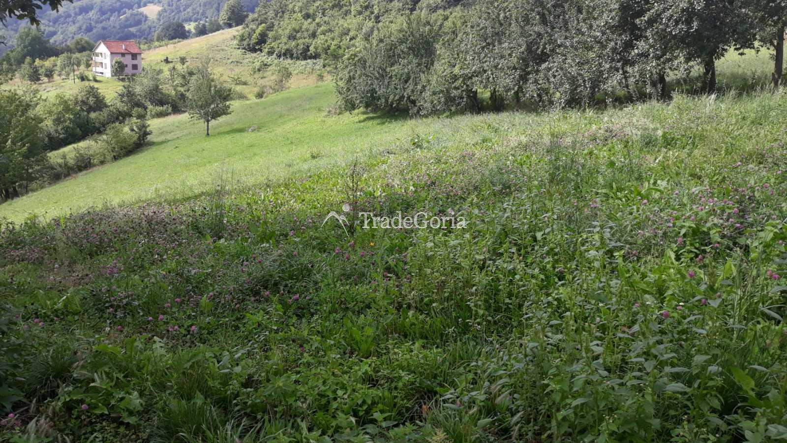 Huge land plot with two houses, farm with tractor in Mojkovac