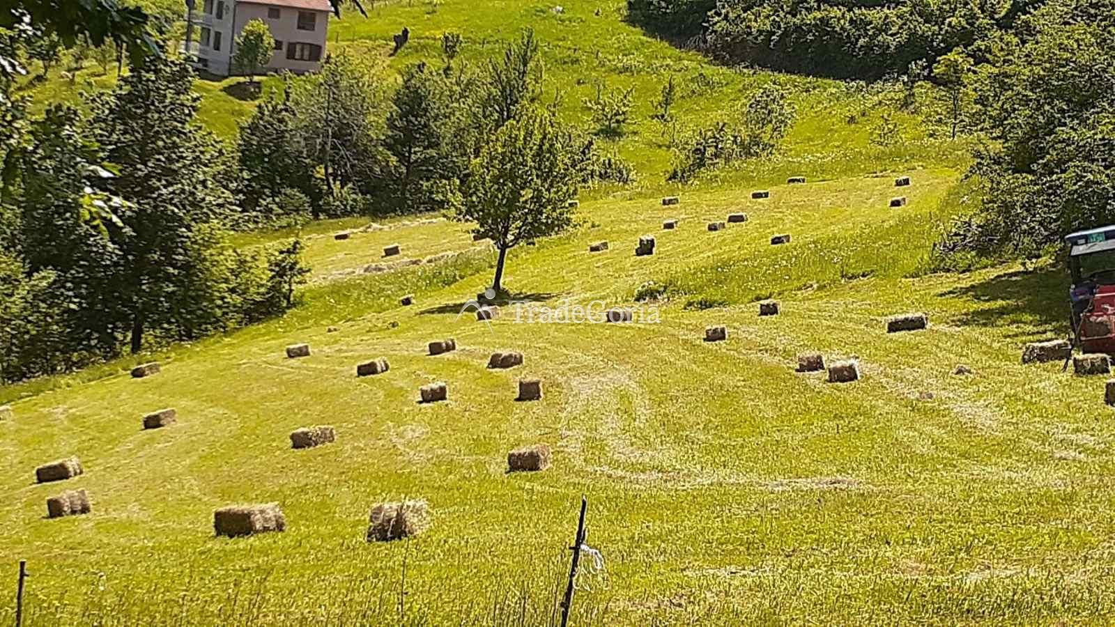 Huge land plot with two houses, farm with tractor in Mojkovac