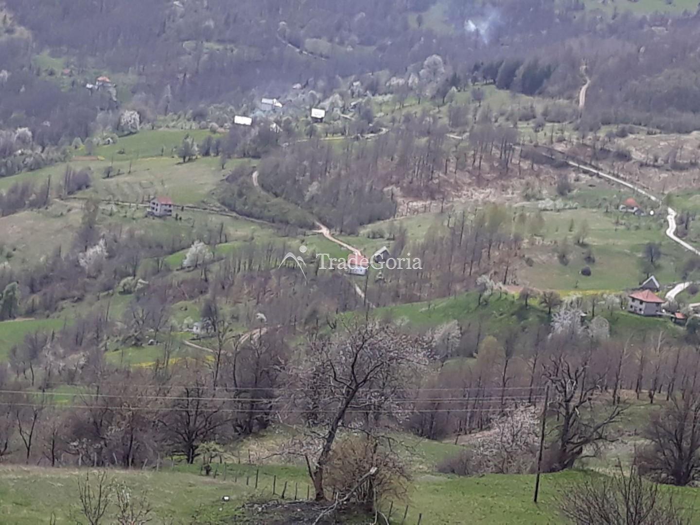 Huge land plot with two houses, farm with tractor in Mojkovac