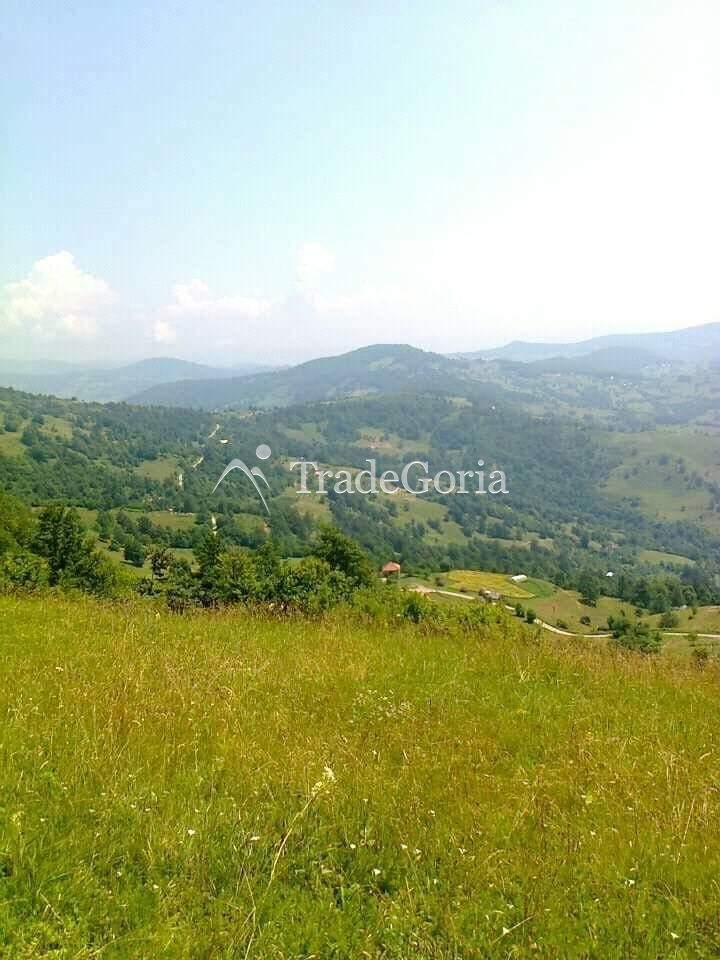 Huge land plot with two houses, farm with tractor in Mojkovac