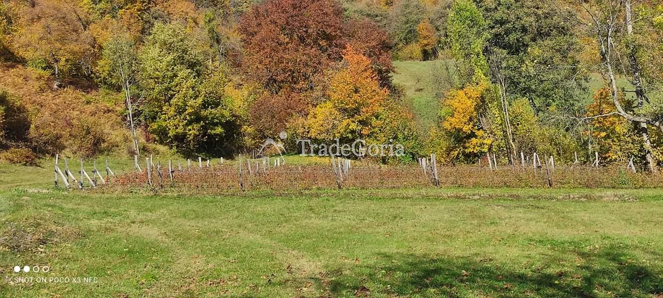 Huge land plot with two houses, farm with tractor in Mojkovac