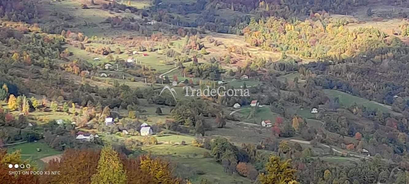 Huge land plot with two houses, farm with tractor in Mojkovac