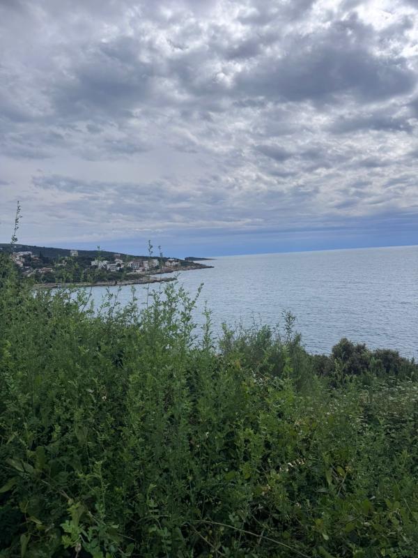 Plac u prvom redu do mora, Solace