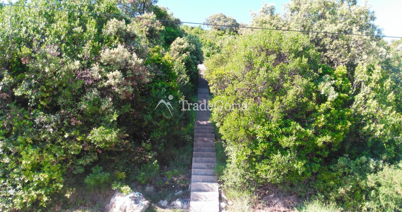 Two plots for sale in Uteha