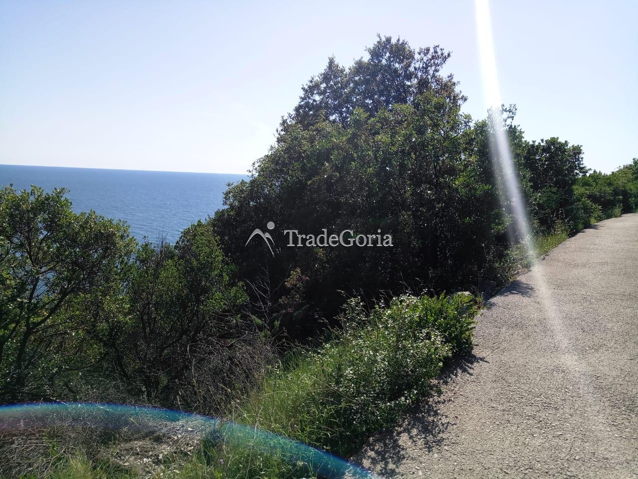 Two plots for sale in Uteha