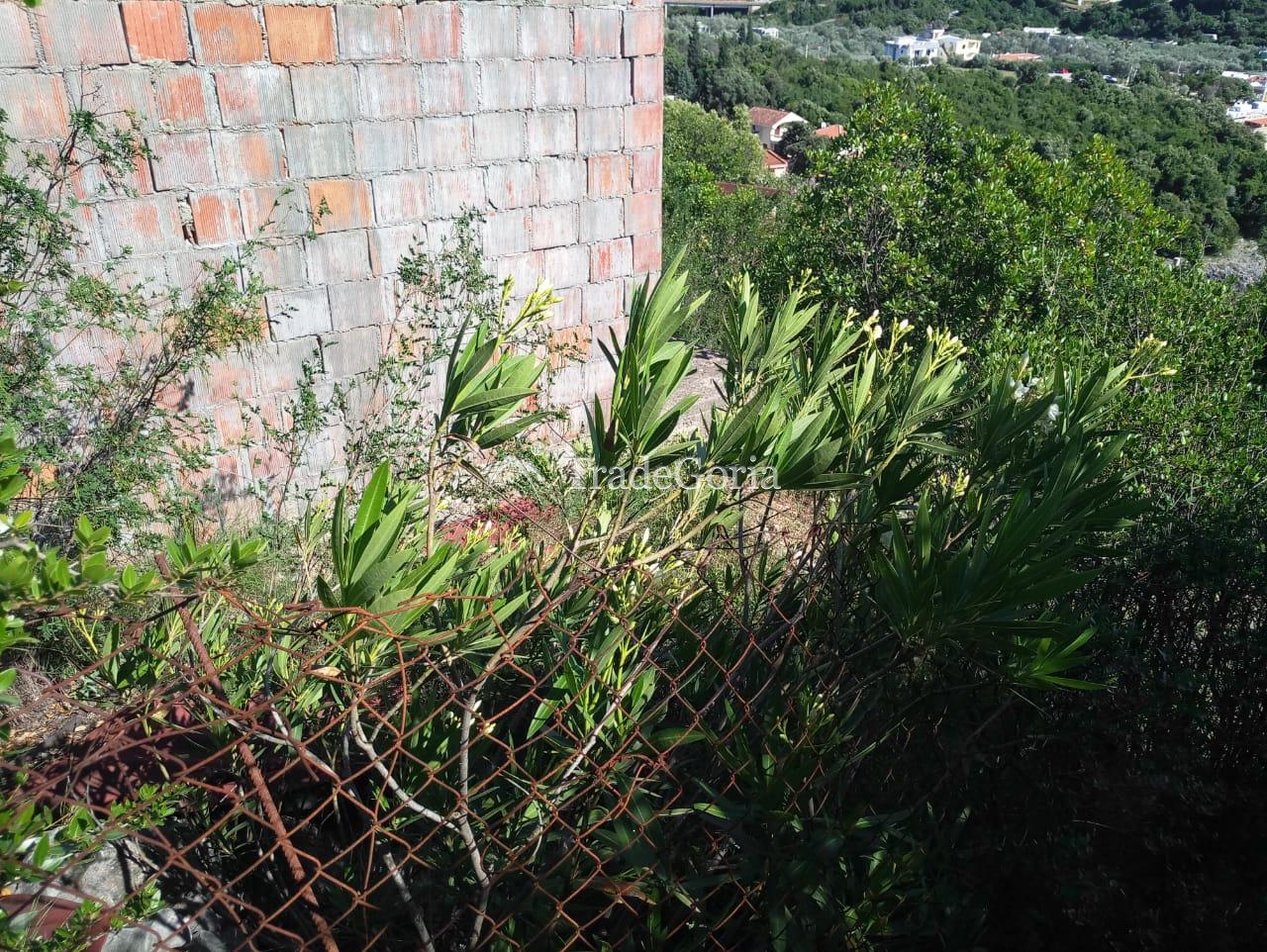 Two plots for sale in Uteha