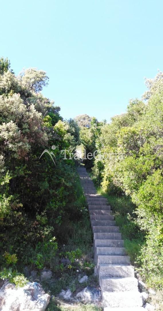 Two plots for sale in Uteha