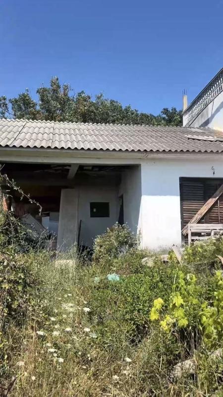Renoviertes Haus in Dobra Voda (Bar) mit Olivenhain