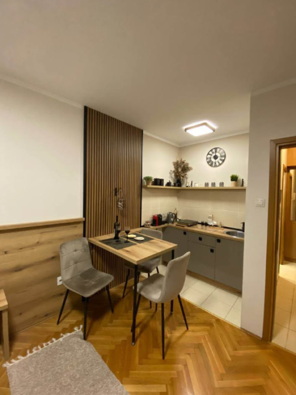 Studio (Betriebsimmobilie) in Podgorica, 24 m², top Lage