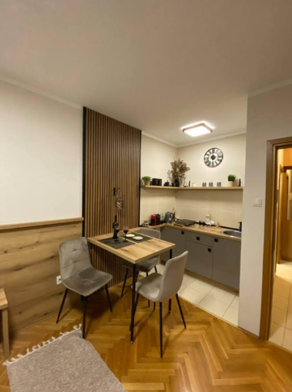 Studio (Betriebsimmobilie) in Podgorica, 24 m², top Lage