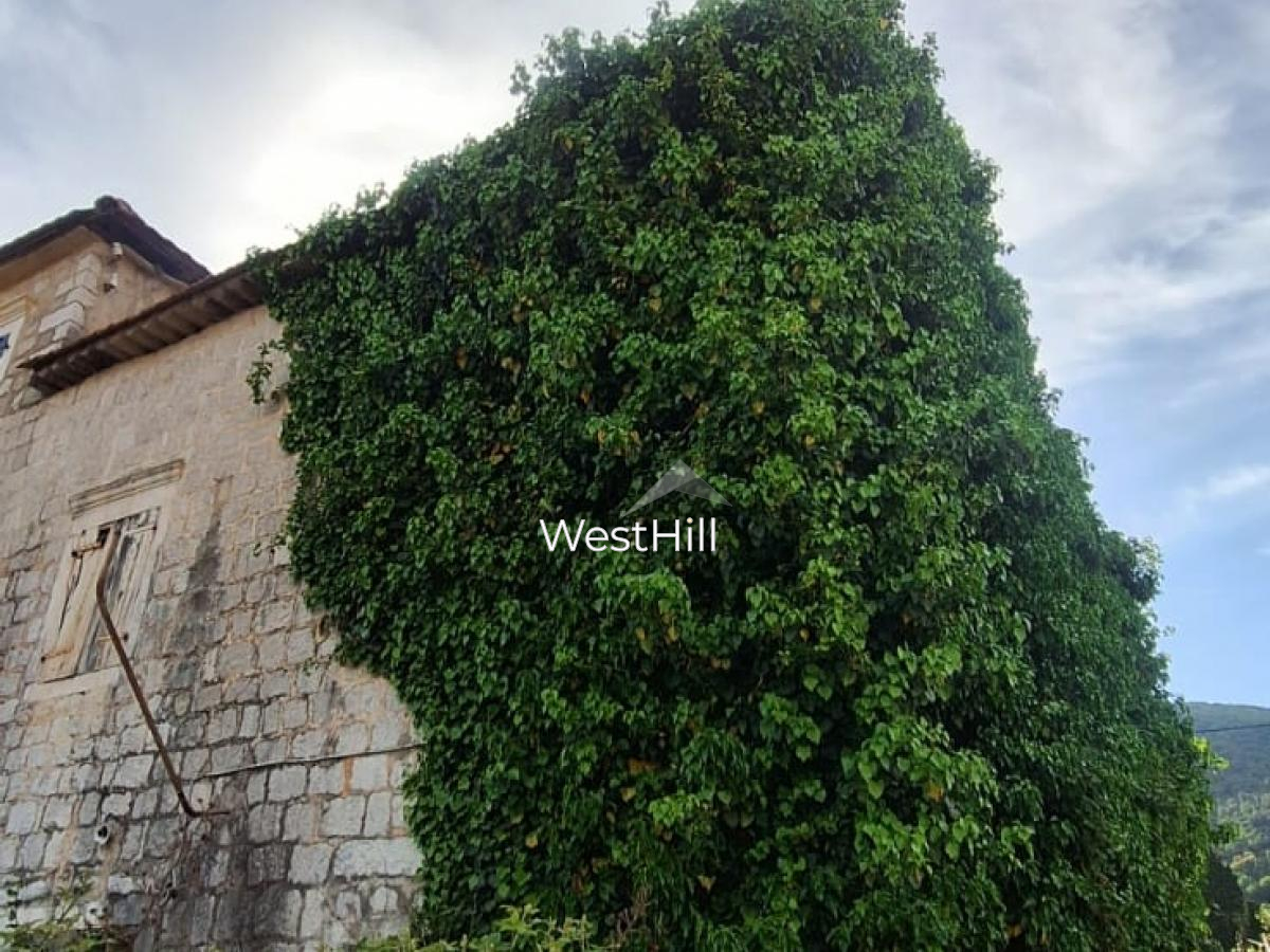 Stone house for renovation in Kamenari, Herceg Novi