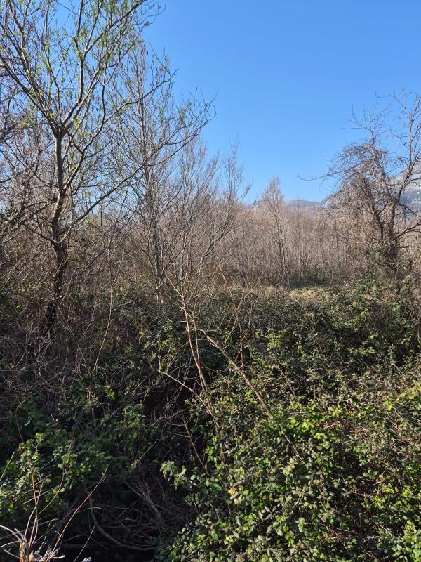 The land plot is 1242 m2. Bulyaritsa