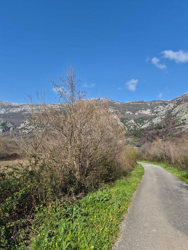 The land plot is 1242 m2. Bulyaritsa