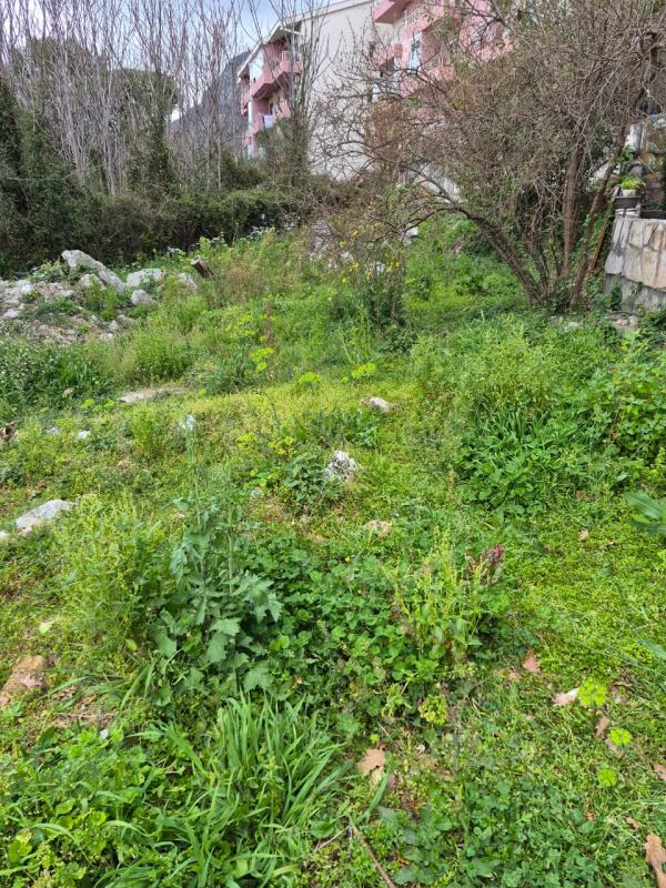 The land plot. Urbanized. Budva