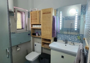 Three-bedroom house for sale in Petrovac