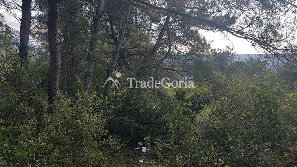 Land for Sale 1557 m2 in Mrčevac, Tivat