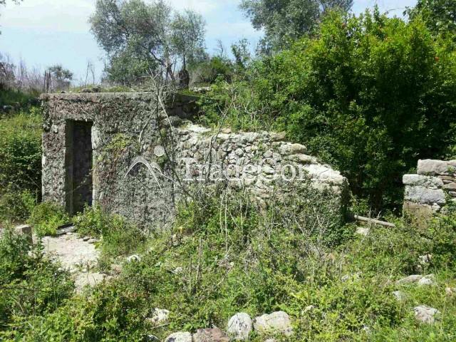 Plot in Shushan-Ilino