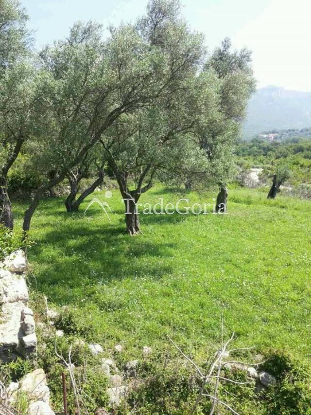 Plot in Shushan-Ilino