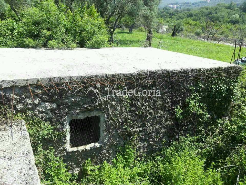 Plot in Shushan-Ilino