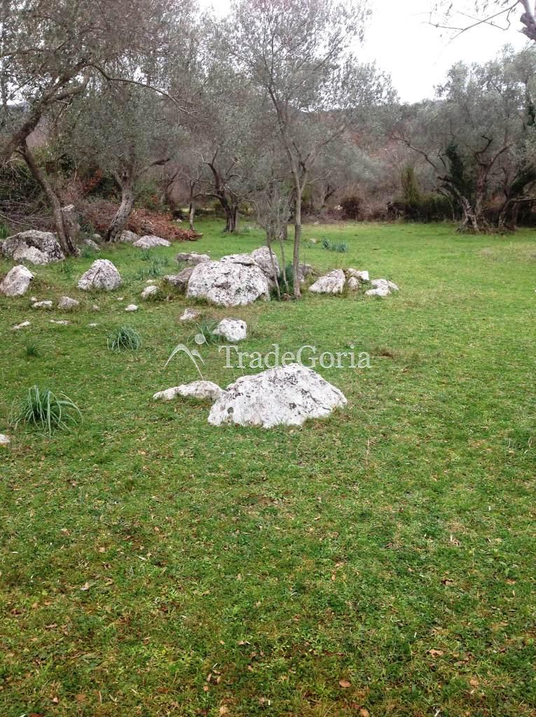 Участок в Утехе 2400