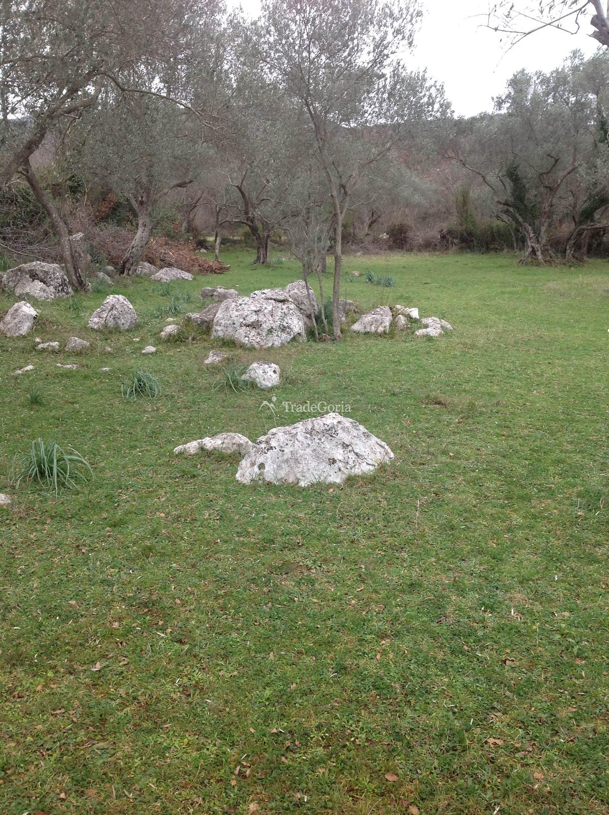 Land plot 2400m2 in Uteha