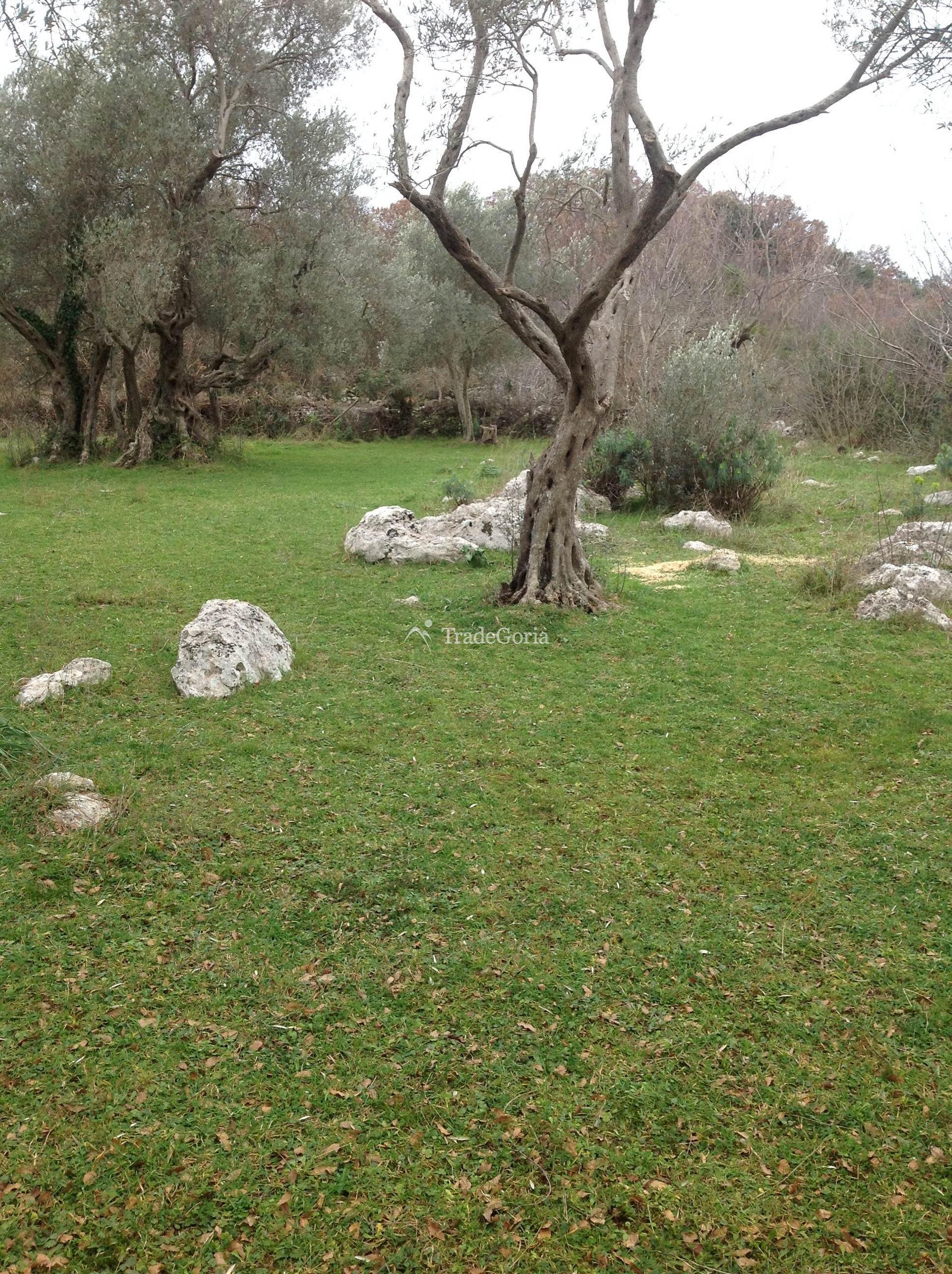 Land plot 2400m2 in Uteha