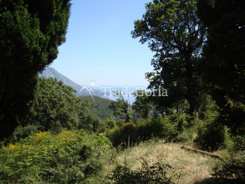 Unique Plot with Stone House, Budva, Stanisici