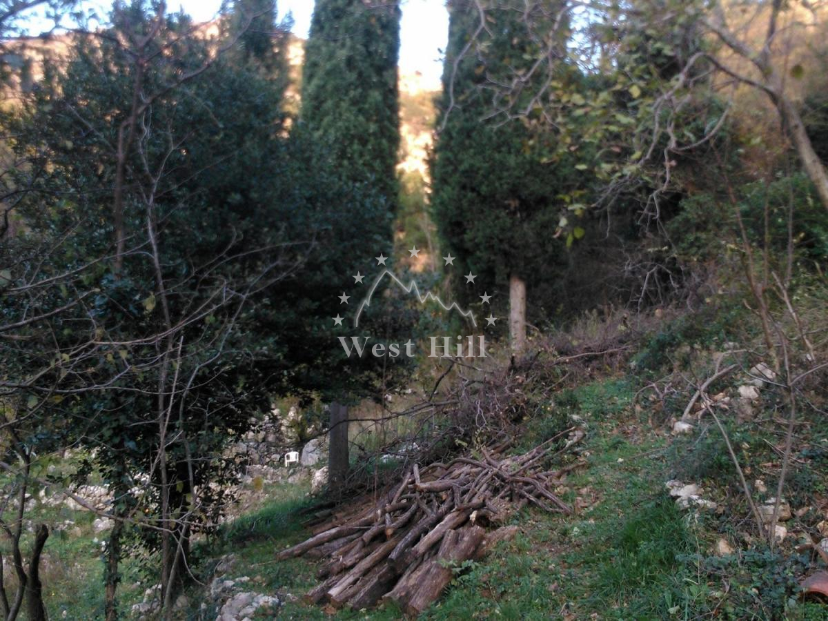 Unique plot with waterfall and house for renovation
