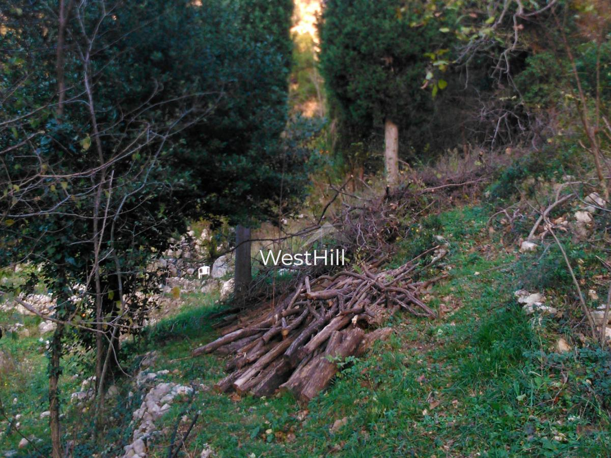 Unique plot with waterfall and house for renovation