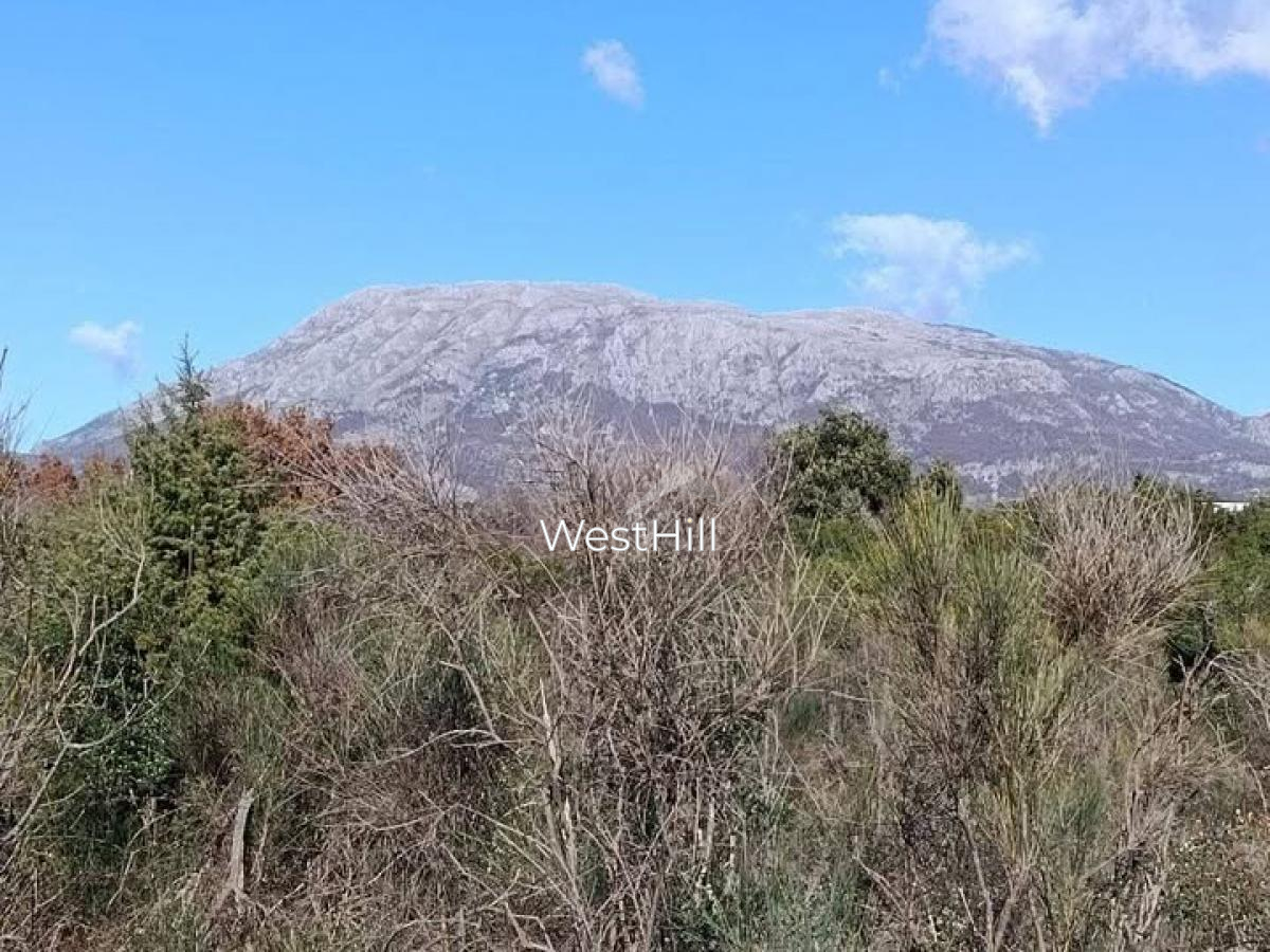 Urbanized Land Plot in Utjeha