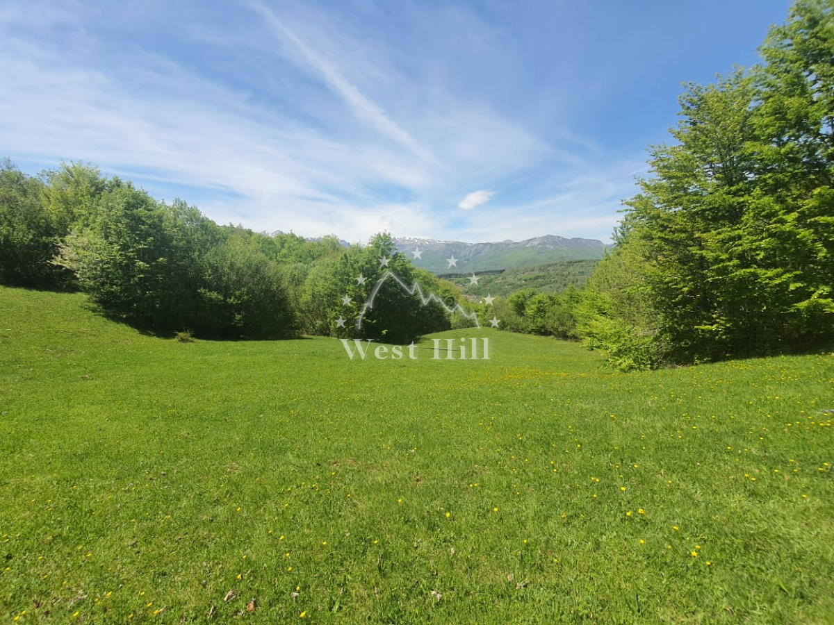 Urbanized plot near the center