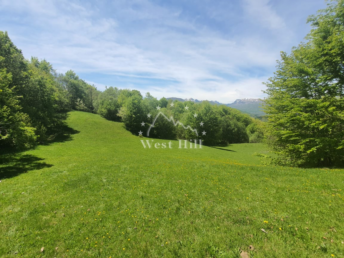 Urbanized plot near the center