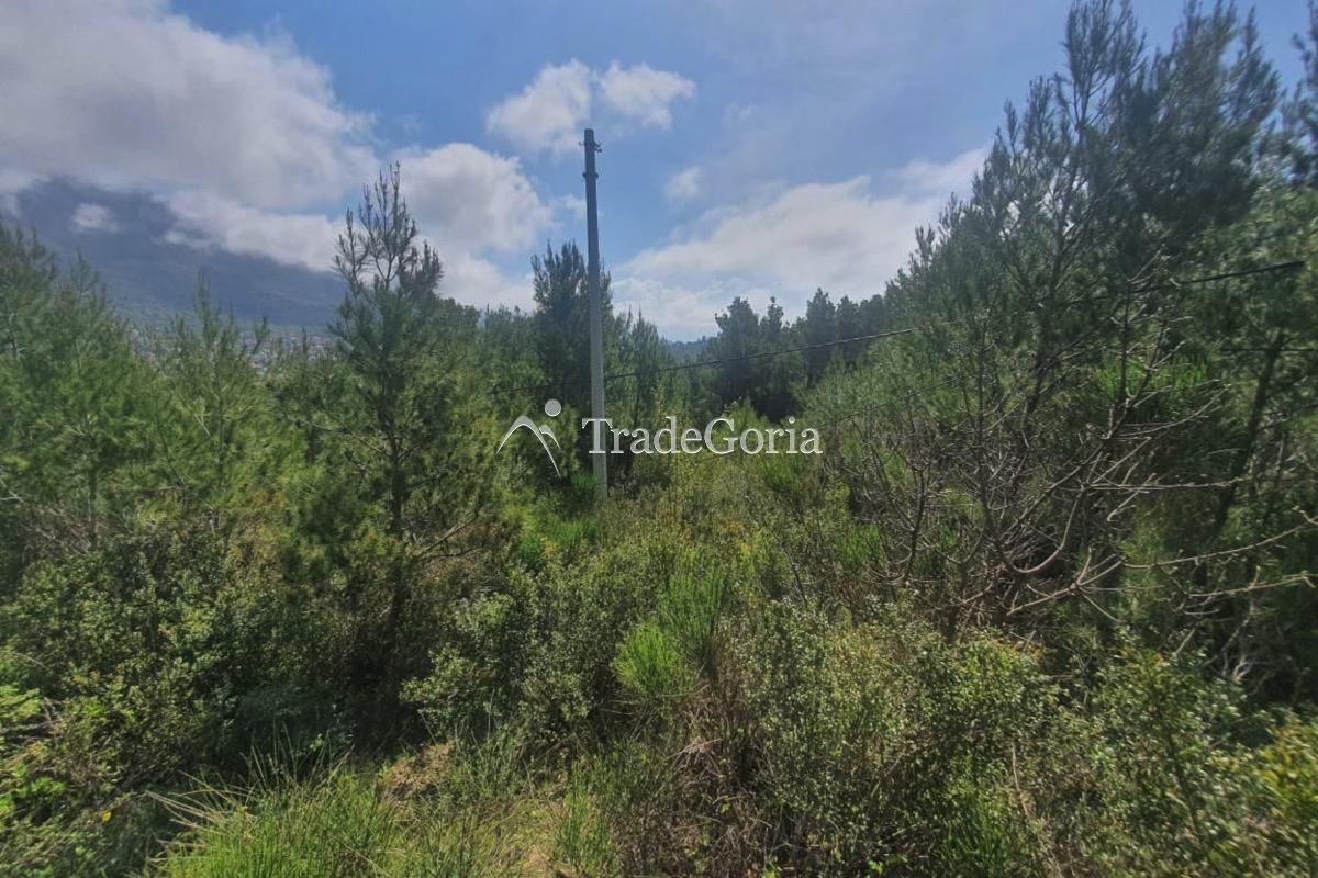 Urbanized plot with sea view - URGENT! - price 155'000 euros