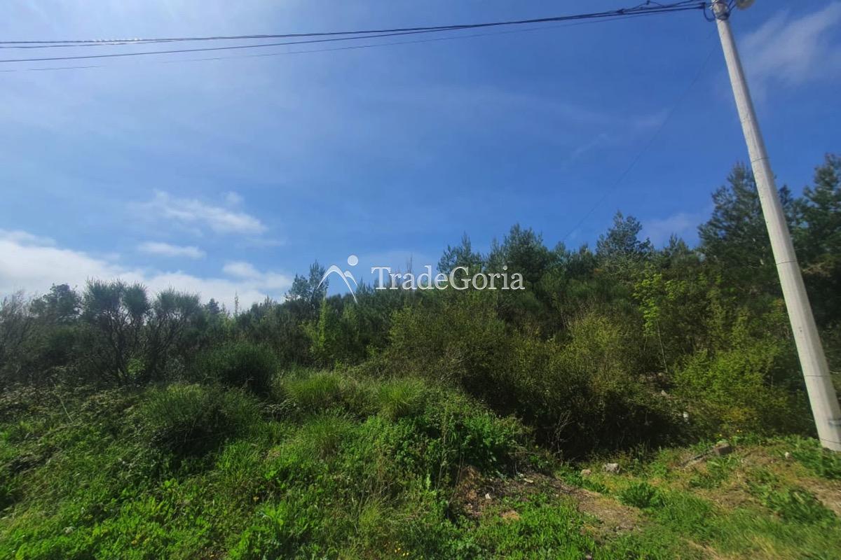 Urbanized plot with sea view - URGENT! - price 155'000 euros