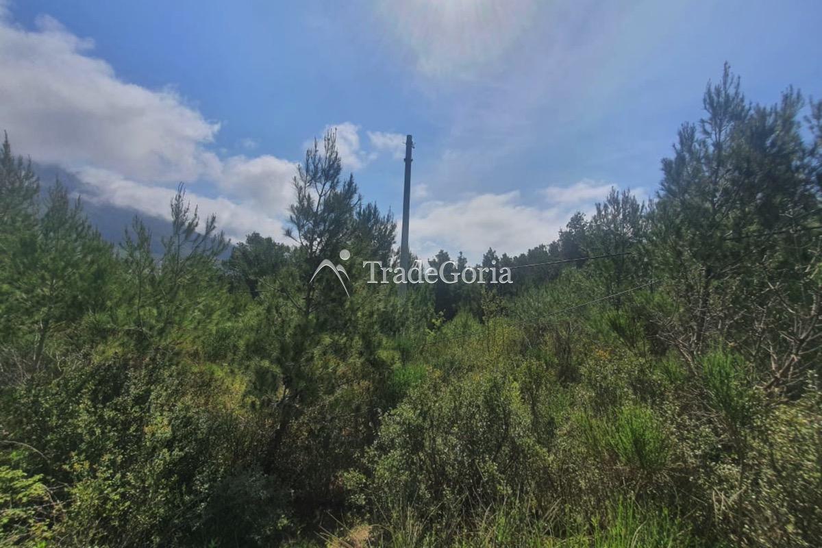 Urbanized plot with sea view - URGENT! - price 155'000 euros