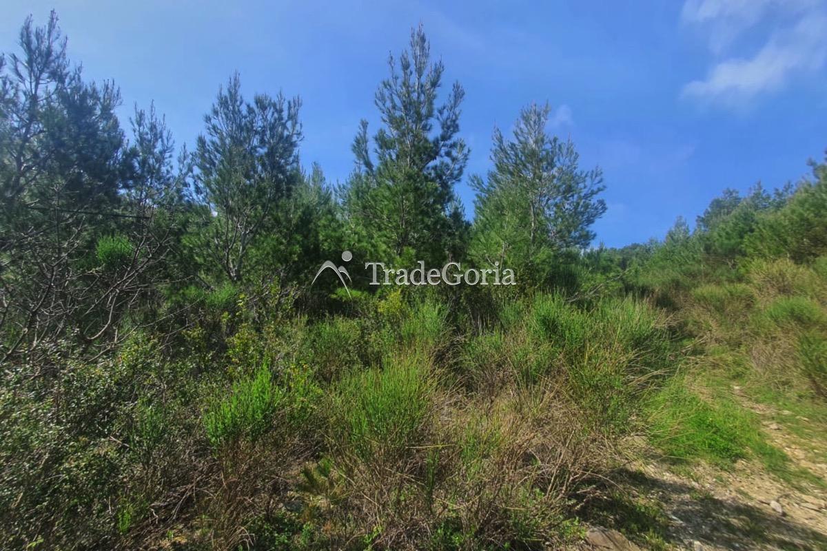 Urbanized plot with sea view - URGENT! - price 155'000 euros